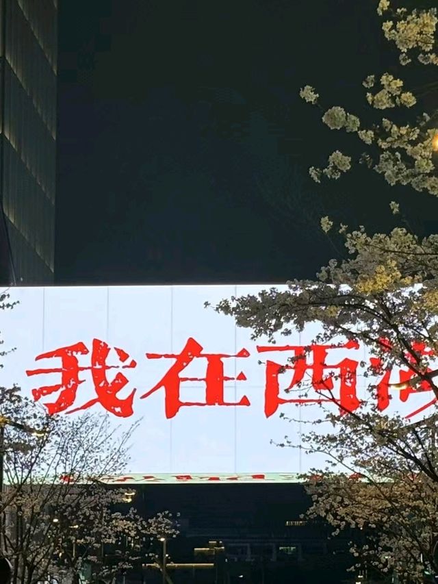 Beauty of hangzhou