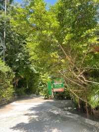 ร้านอาหารภูเก็ต ห้ามพลาด