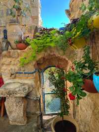 traditional Palestinian houses