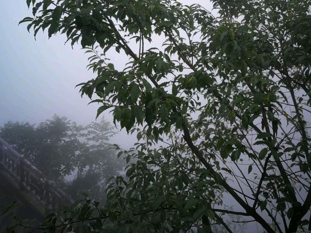 Tianmen Mountain in fog like dream