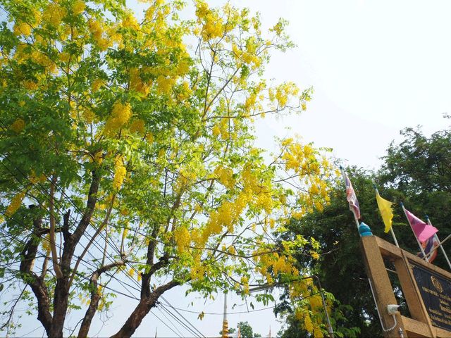 วัดเทพนิมิตร จ.ฉะเชิงเทรา