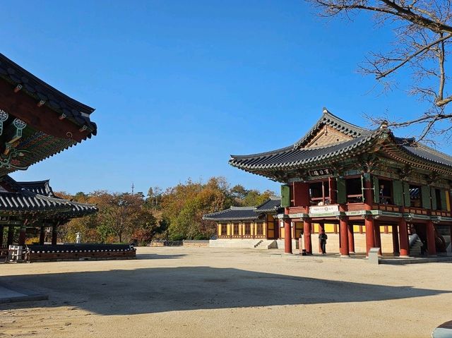 푸른 바다가 보이는 속초 여행
