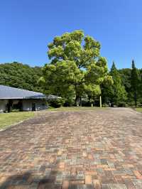 【岐阜】17品種5500株のローズガーデン
