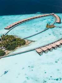 🌺 Feeling Relaxed in Taj Exotica Maldives – Where Peace Meets Paradise 🧘‍♀️🌊
