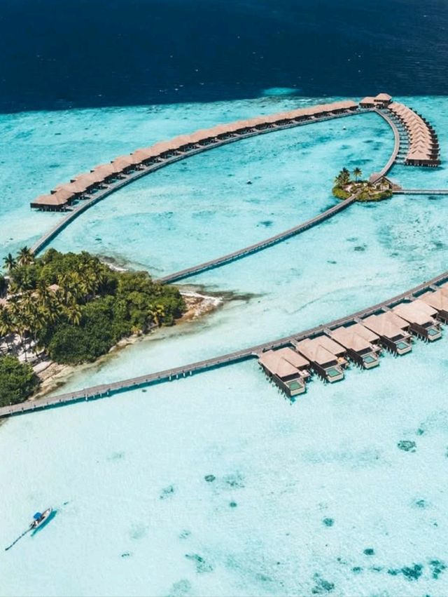 🌺 Feeling Relaxed in Taj Exotica Maldives – Where Peace Meets Paradise 🧘‍♀️🌊