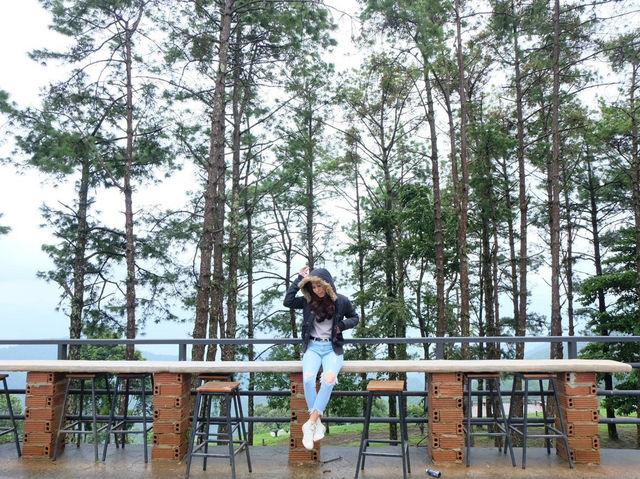 ดอยอ่างขาง 🌳 ธรรมชาติสวยๆ ณ ปลายฝนต้นหนาว
