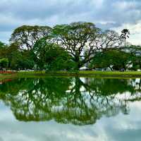 🌿🚂 A Day Escape from Penang: Chasing Rain & History in Taiping by Train