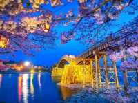Evening Illumination of Kintaikyo Bridge