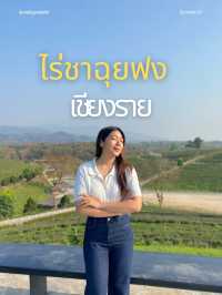 ☀️ หลบร้อนไปฟิน ไร่ชาฉุยฟง เชียงราย ⛰️
