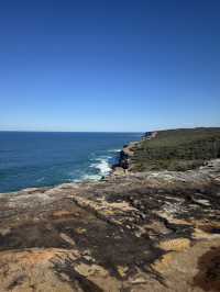 【シドニー】電車とフェリーで行ける大自然！Royal National Park で癒しのトレイル旅