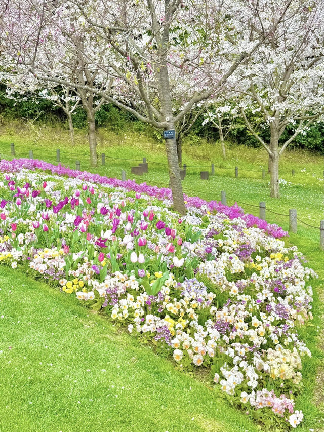 Yokohama’s Hidden Flower Paradise: Satoyama Garden 🌸🌼