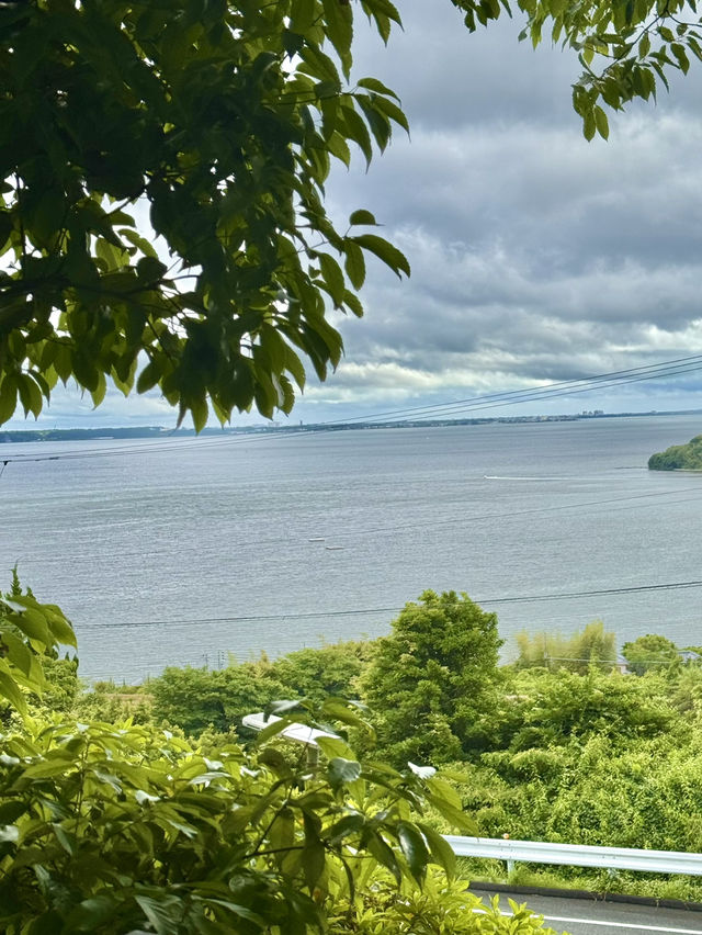 🌄 숨겨진 관광 명소 시즈오카 여행, 일본의 숨은 보석!