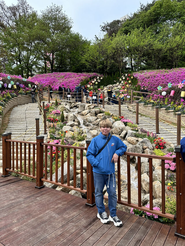 Celebrates the Breathtaking Bloom of Royal Azaleas Flowers