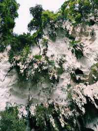 Steps to Sustainability: A Sacred Climb at Batu Caves
