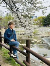 Perfect Spot for a Peaceful Walk or Rest within the City.