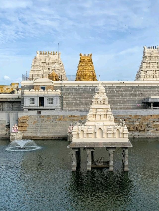 🌴 Charm of Chennai – A Cultural Cocktail by the Coast! 🕌🌊
