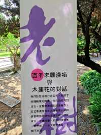 #鳥月生吐司專門店-彰化縣溪湖鎮
