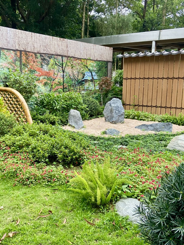 置身和式庭園🌷🦜體驗鳥語花香✨大埔海濱公園🏞️