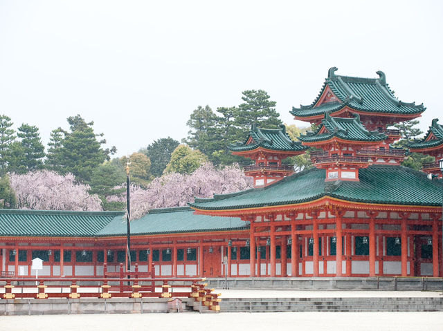 🌸 Kyoto’s Hidden Oasis: A Magical Day at Heian Shrine (& Why It’s Not Just a Tourist Spot!) 🏯✨