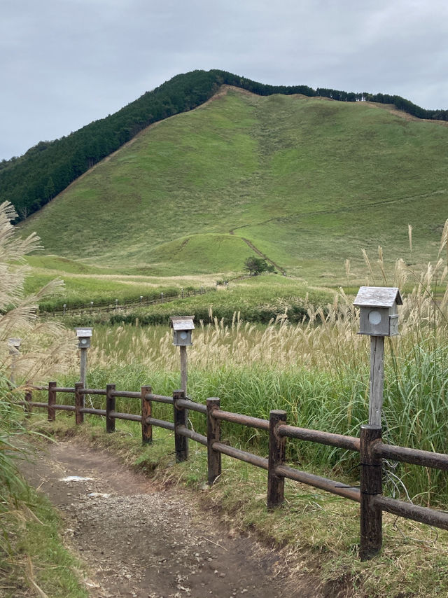 【奈良県】ススキが見れる自然スポット🎑