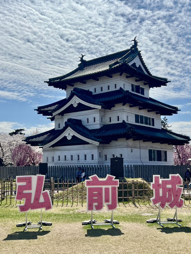 弘前城的櫻花爭妍鬥豔；果然有日本第一的呼聲！