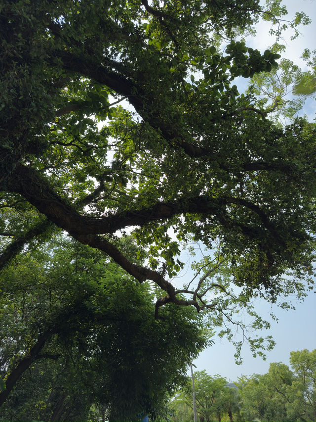 台北｜自來水園區與小觀音山生態步道一日遊