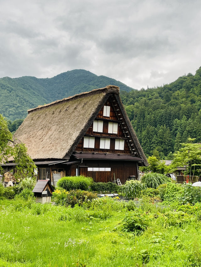 Summer in Shirakawago: Where Time Slows Down and Dreams Feel Real