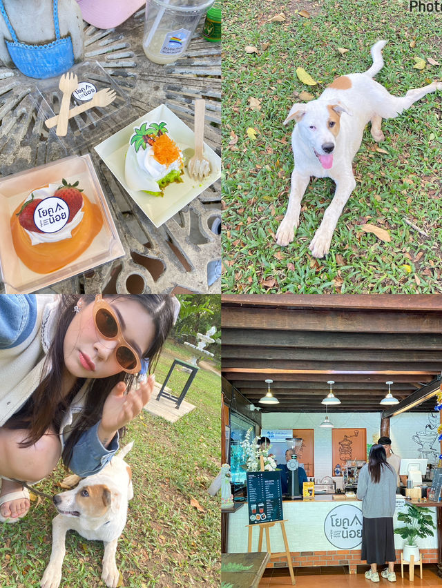  #มัดรวมคาเฟ่ ‘ไทรโยค’ กาญจนบุรี ที่ต้องแวะ! ☕🏞️