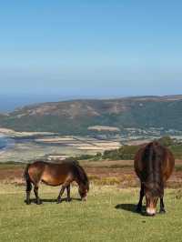 Escape from Bristol to the “Little Switzerland of England” — Exmoor