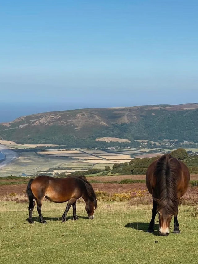 Escape from Bristol to the “Little Switzerland of England” — Exmoor