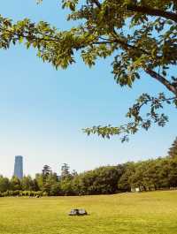 Discovering Wildflower Beauty at Deul's Park