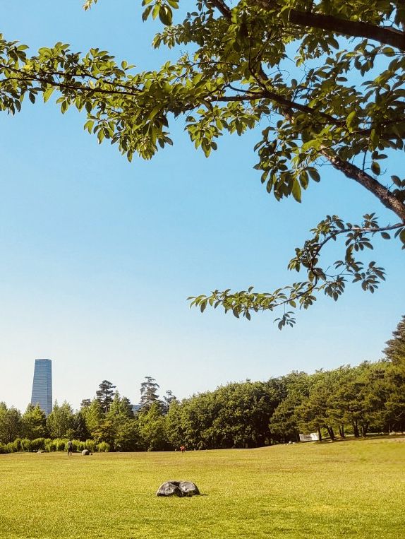 Discovering Wildflower Beauty at Deul's Park