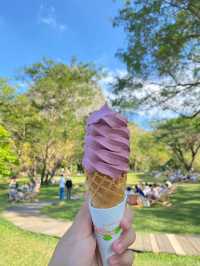 🌳 Mulberry Mellow คาเฟ่ที่มาเที่ยวกาญแล้วต้องแวะ!