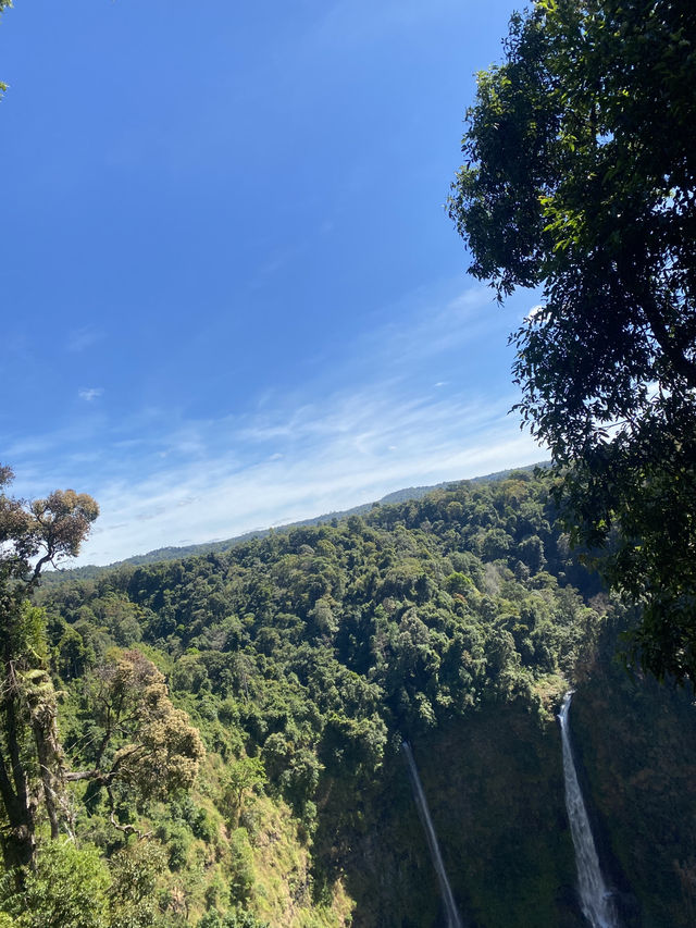 Coffee Zipline in Pakse, excited experience 