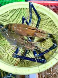 江門美食💕都斛海鮮街🦞新鮮又實惠