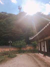1박 2일 순천 여행 추천 코스: 자연과 전통이 어우러진 여유로운 여행 🌿