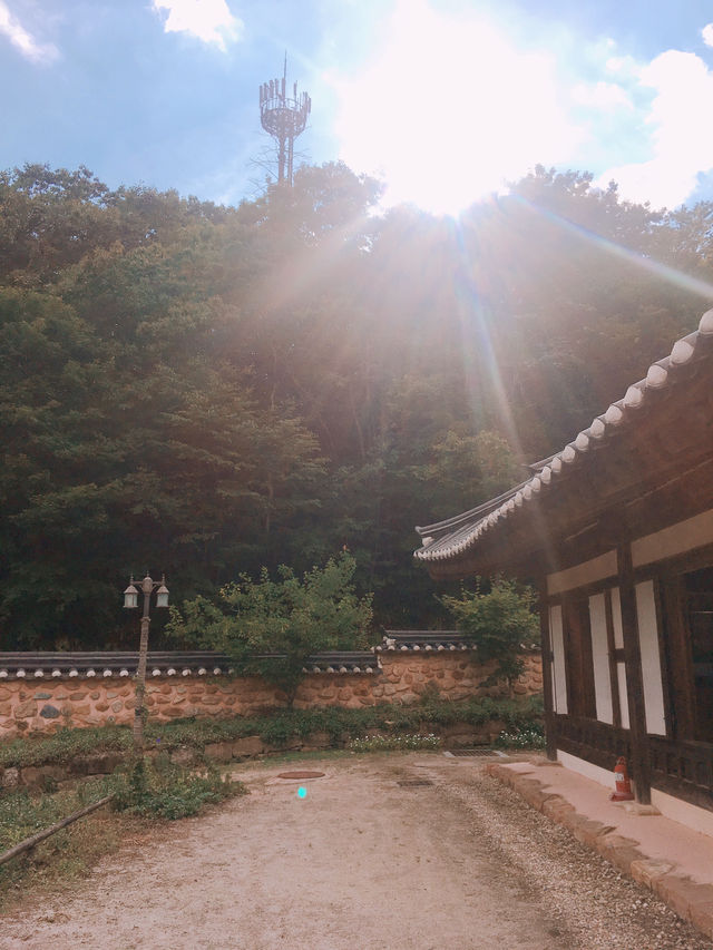 1박 2일 순천 여행 추천 코스: 자연과 전통이 어우러진 여유로운 여행 🌿