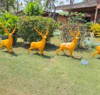 คาเฟ่ Birdcage byasita