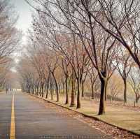 Incheon Grand Park (Incheon)