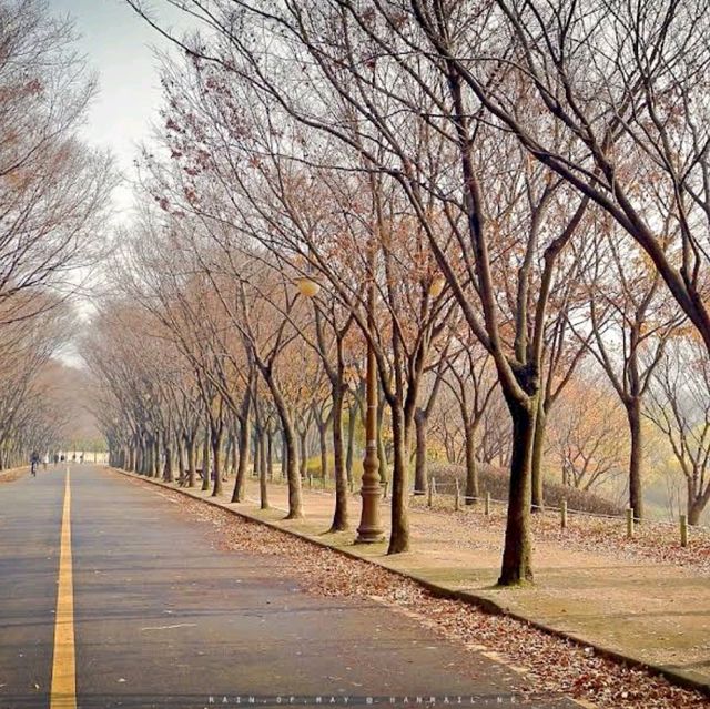 Incheon Grand Park (Incheon)