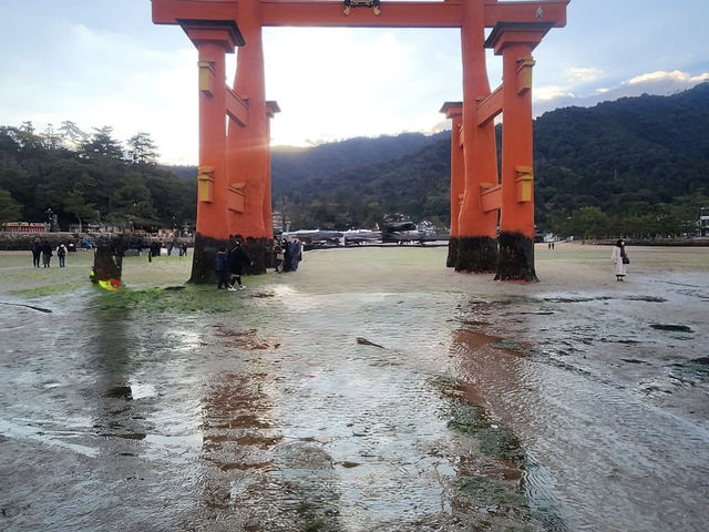 世界文化遺產-嚴島宮島神社、五重塔、千疊閣