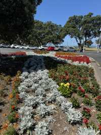 Quick stop at Devonport 🛥️