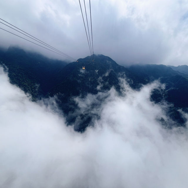 Misty Majesty: Fansipan