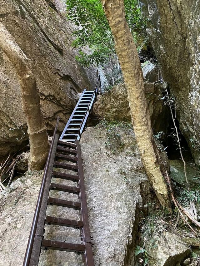 Secret Cave Vibes & Forest Feels