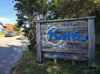 칠레 푸에르토 바라스의 감성숙소 Casa Kalfu Hotel Boutique