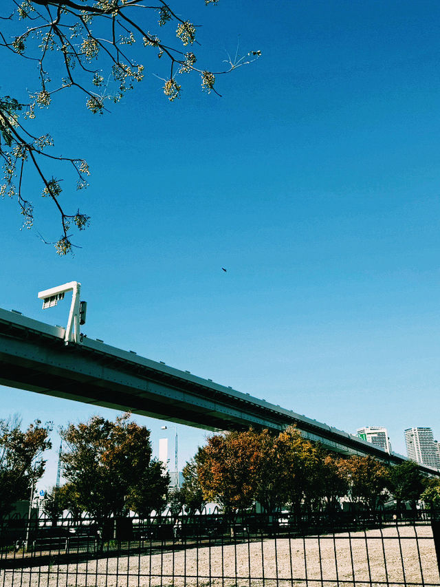 東京｜臨海高速鐵道臨海線｜海濱與未來的銀色冒險之旅