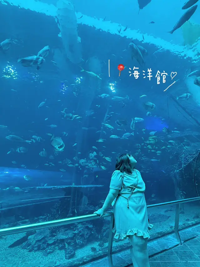 ｛台灣墾丁｝ 來到墾丁，當然要跟海洋生物親近一下～ 墾丁國立海洋生物博物館