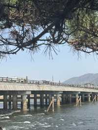 • Uji Bridge สะพานไม้เก่าแก่แห่งเมืองอุจิ 🌱•