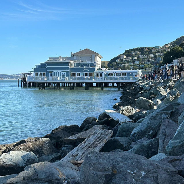 “Sausalito: Where the bay sparkles, the art flows, and life feels like a postcard.” ✨🌊⛵🎨🍷