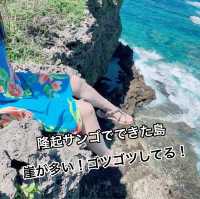 意外と知られていない！沖永良部島の魅力発見👀